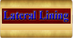 lateral relining